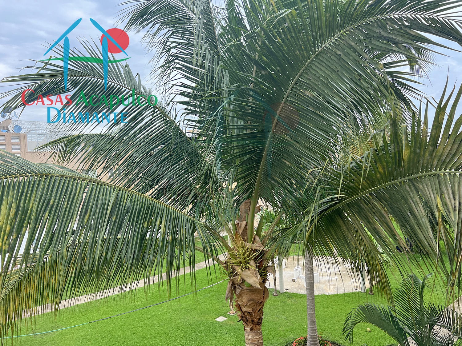 Banús Residencial Marbella 126 - Terraza 5